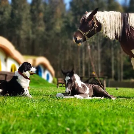 Mi Tesoro Апартаменты