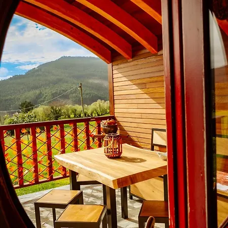 Mi Tesoro * Вивейро